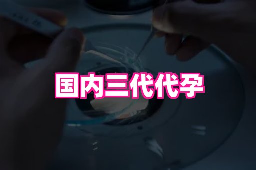 贵州助孕网站 2